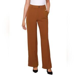 NWT Sanctuary Noho Side Slit Trouser Pants in Spice Sz 32